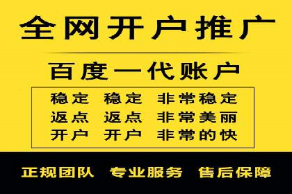百度广告竞价之成功案例：某行业领军企业的崛起之路